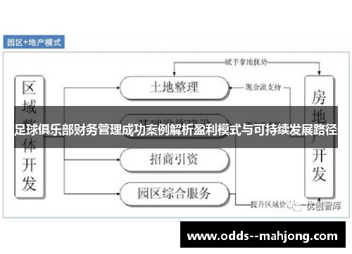足球俱乐部财务管理成功案例解析盈利模式与可持续发展路径