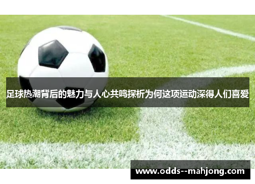 足球热潮背后的魅力与人心共鸣探析为何这项运动深得人们喜爱