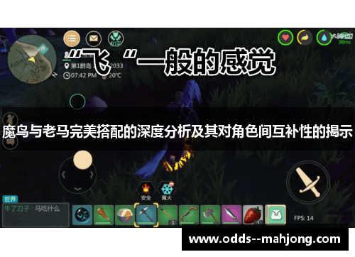魔鸟与老马完美搭配的深度分析及其对角色间互补性的揭示