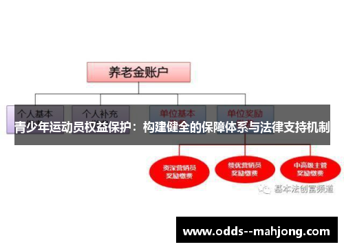 青少年运动员权益保护：构建健全的保障体系与法律支持机制