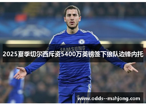 2025夏季切尔西斥资5400万英镑签下狼队边锋内托 2025夏季切尔西斥资5400万英镑签下狼队边锋内托